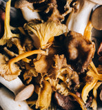 Dried Porcini Mushrooms 15.8 oz
